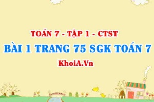 Bài 1 trang 75 SGK Toán 7 Chân trời sáng tạo tập 1